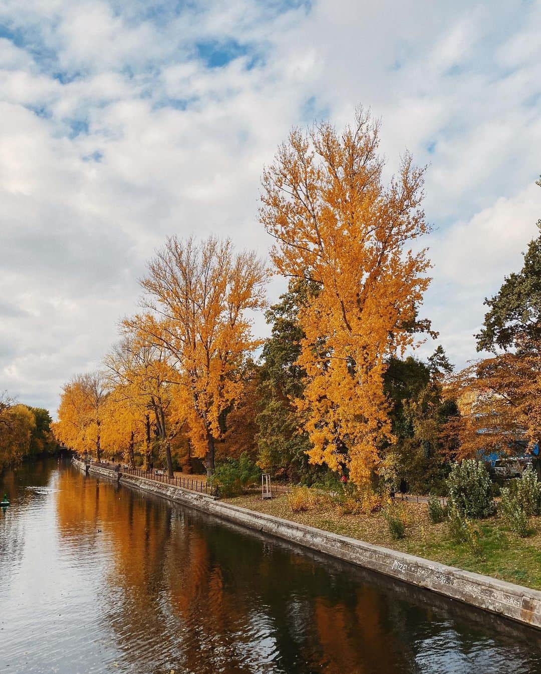 STIL IN BERLINのインスタグラム：「Different perspective, five days later, same canal. #autumn #landwehrkanal #berlin #kreuzberg #autumnleaves #herbst #herbstinberlin #herbstlaub #laub」