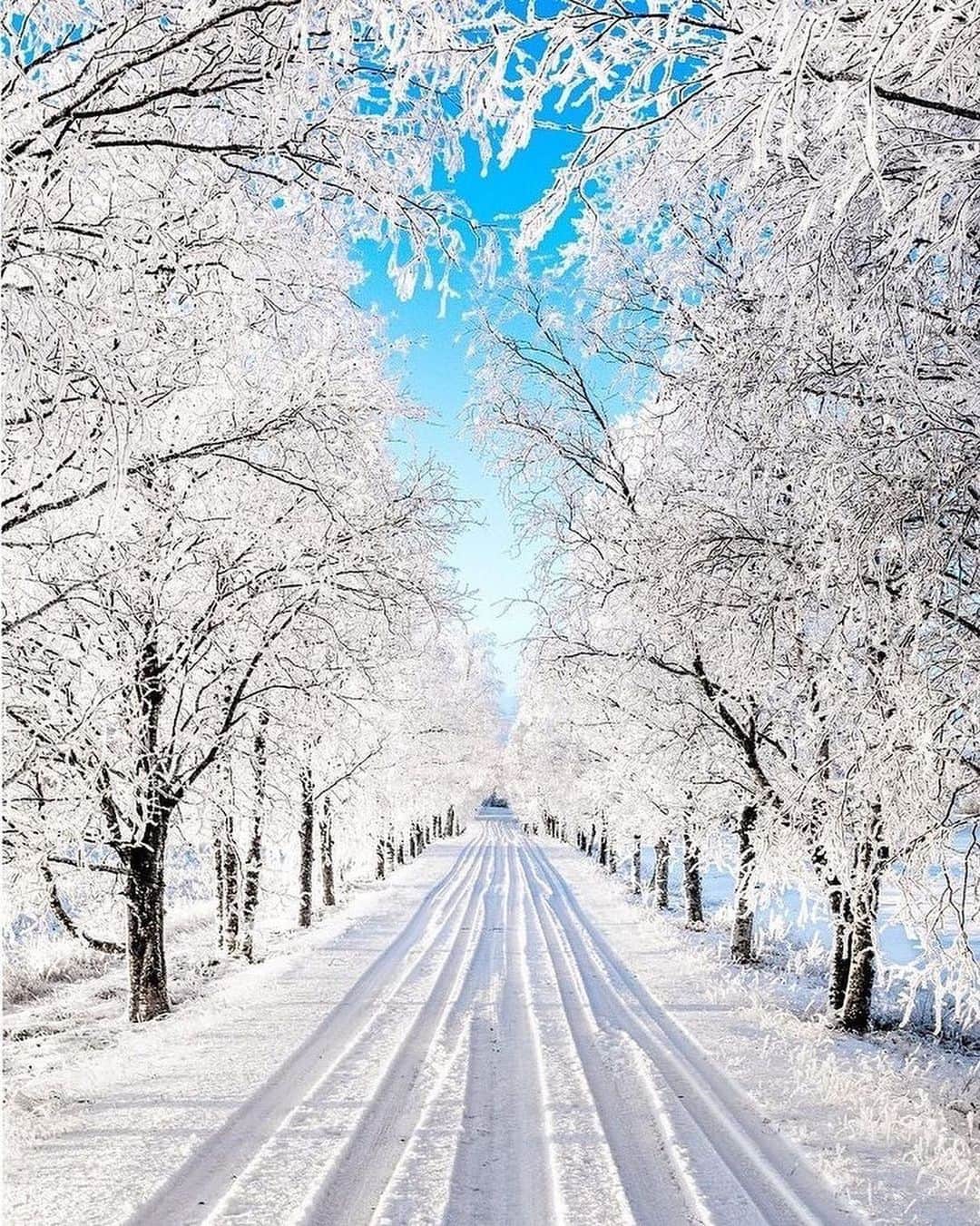 Canon Photographyさんのインスタグラム写真 - (Canon PhotographyInstagram)「Winter scenes from Finland 🇫🇮 Photography // @askokuittinen Curated by @steffeneisenacher  #finland #wintervibes #snowy #winterwonderland #bluesky」10月28日 21時28分 - cpcollectives