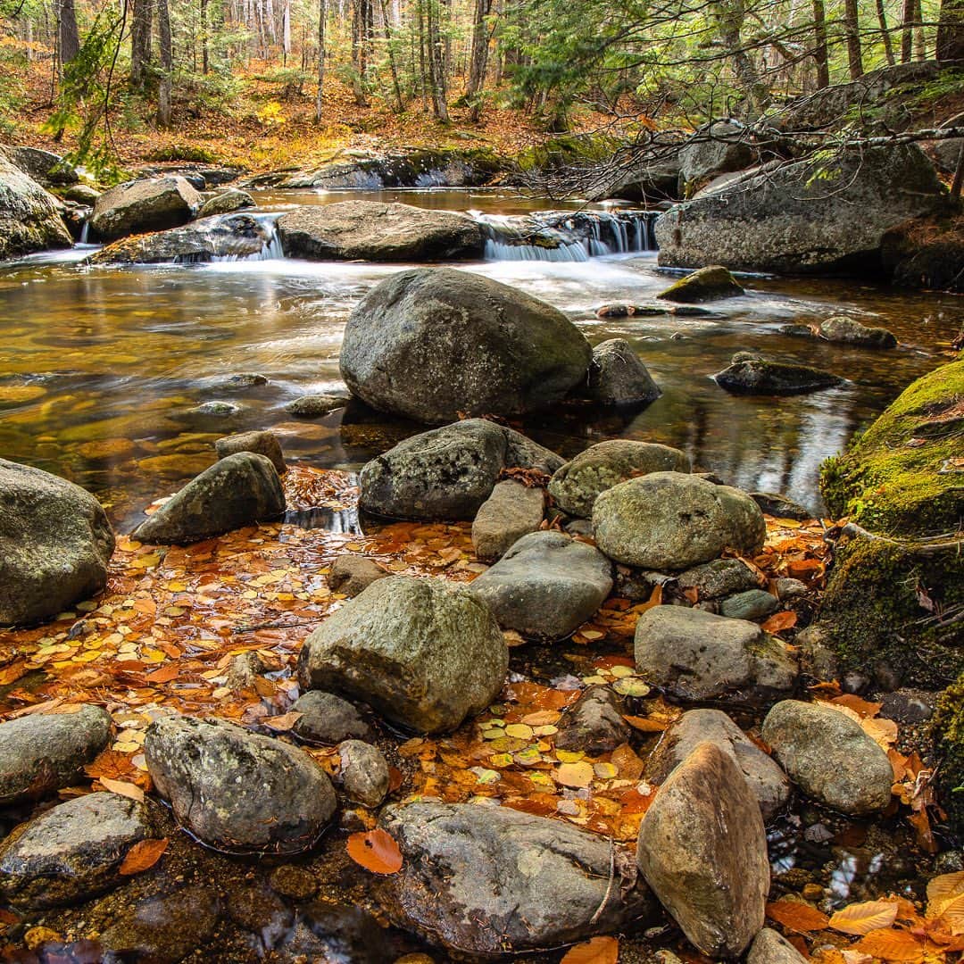 Tim Lamanさんのインスタグラム写真 - (Tim LamanInstagram)「Photo by @TimLaman.  Moving water + colorful leaves + boulders + soft light = beauty + peace + tranquility.  - Classic New England fall photo ops formula.  Bear Creek, Maine this past weekend.  - - Join my newsletter at link in Bio to be signed up for my free print or book giveaways at the end of each month, and get more stories behind my photos.  #TL_WildlifePhotoTips #Maine #NewEngland #fallcolors #autumn #FramedonGitzo @Gitzoinspires」10月28日 21時32分 - timlaman