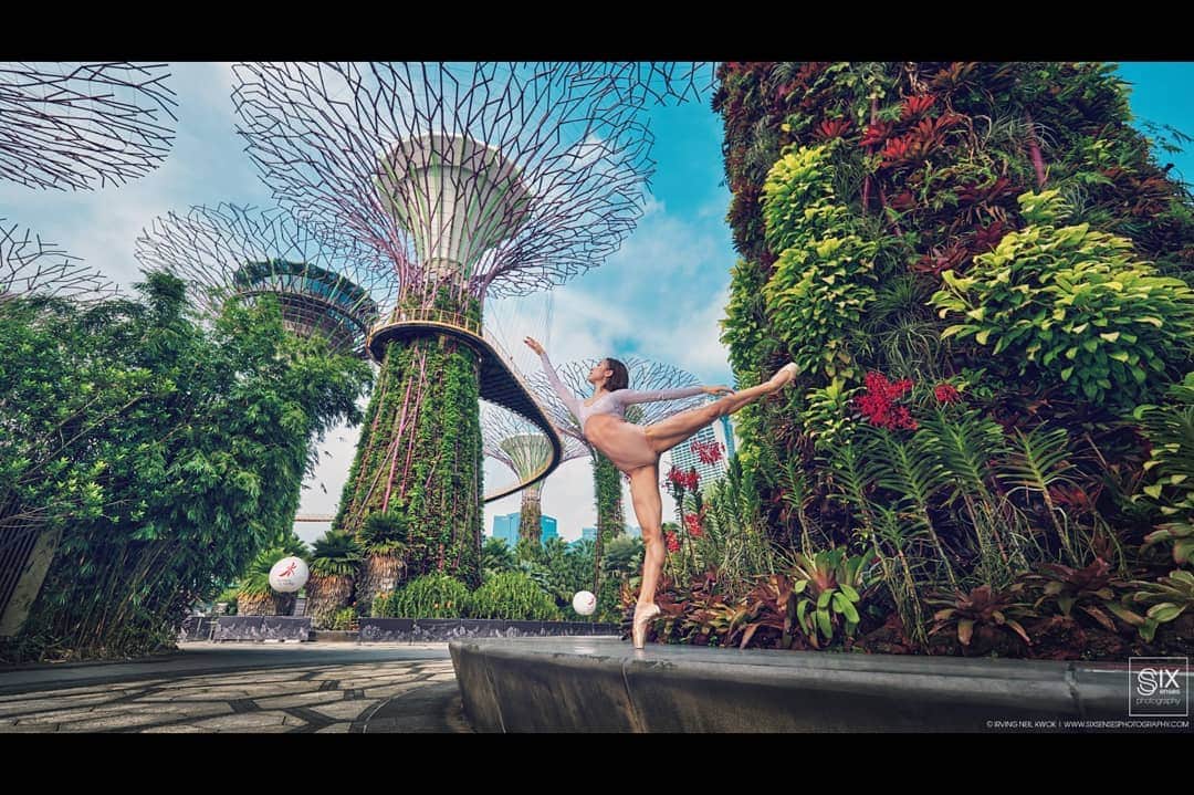 峯岸伽奈のインスタグラム：「. . . 🩰Happy  #worldballetday2020 🩰  📸@sixsenses.irving 🙏  #balletdancer #balletphotography #dancephotography #gardensbythebay #worldballetday　#singaporedancetheatre #バレエ #バレリーナ」