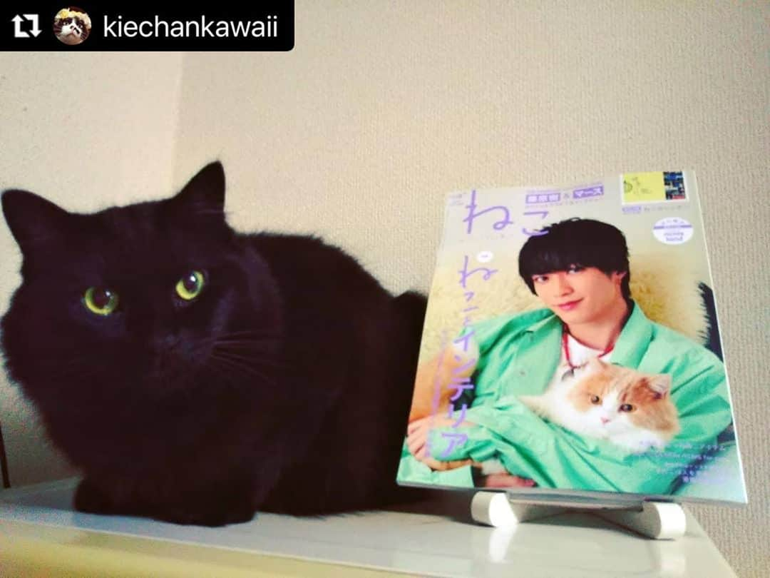 ねこさんのインスタグラム写真 - (ねこInstagram)「@kiechankawaii さん、どうもありがとおおお❣️❣️れおたんの「喝‼️」かっこいい🤗💞 またインスタ企画参加してくださいねぇ👶👋🏻 #Repost @kiechankawaii with @make_repost ・・・ 俺の写真、載っちゃいましたぁ～ 😻🙌😻🙌😻れお ・  @neko_magazine さんの 『ねこNo.116』#ねこは人を笑顔にする 愛猫写真大紹介にて、れおの写真を掲載して頂きました！ とってもうれしいです😂 今回もありがとうございました。  れおの『喝！』で、れお達のごはん代 頑張って稼いでくるよぉ～🤭 ・ #neko_magazine #くろねこ #黒猫 #もふもふねこ #クロネコ」10月29日 7時07分 - neko_magazine