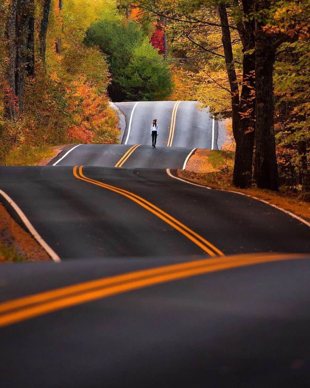 Canon Photographyさんのインスタグラム写真 - (Canon PhotographyInstagram)「Autumn in New Hampshire 🍁  Photography // @nathanleeallen Curated by @steffeneisenacher  #roadsofinstagram #roads #newhampshire #newhampshireoutdoors #autumncolors」10月29日 7時59分 - cpcollectives