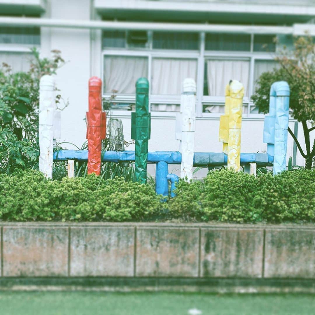中野敬久さんのインスタグラム写真 - (中野敬久Instagram)「#colours #white #red #green #yellow #blue #hope」10月29日 8時11分 - hirohisanakano