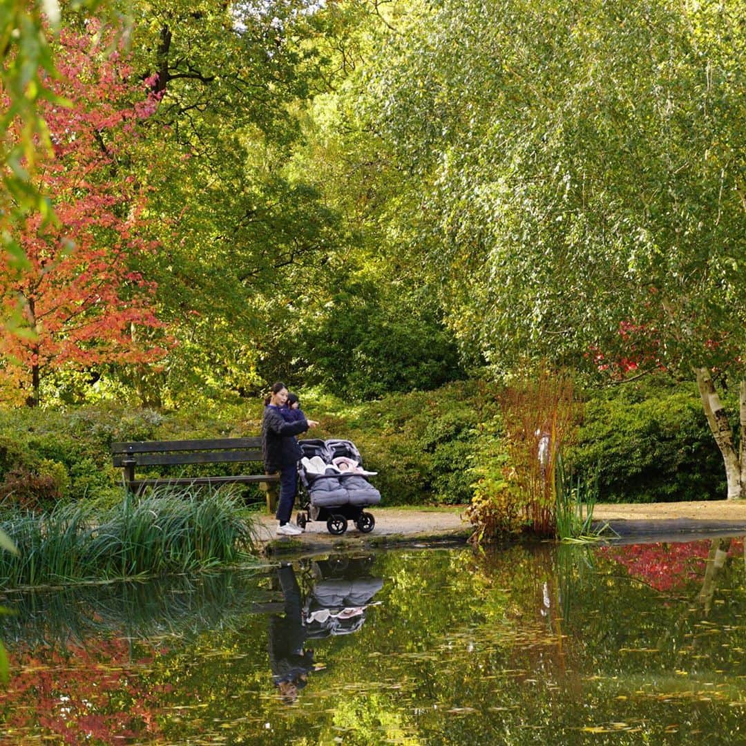 岡村仁美さんのインスタグラム写真 - (岡村仁美Instagram)「先週末はRichmond parkへ。ロンドンを歩いていると黄色く色づいている木々が多いですが、園内の植林エリアIsabella plantationでは見事な赤い葉も楽しめました🍁  ４枚目:公園の近くのTerrace gardenから。黄色く染まった中を流れるテムズ川も美しかったです✨  #richmondpark #ロンドン生活 #紅葉 #家出た時は雨だったのに青空 #この時期のロンドンでのお出かけは諦めないことも大事と学んだ」10月29日 8時11分 - hitomi_okamura_
