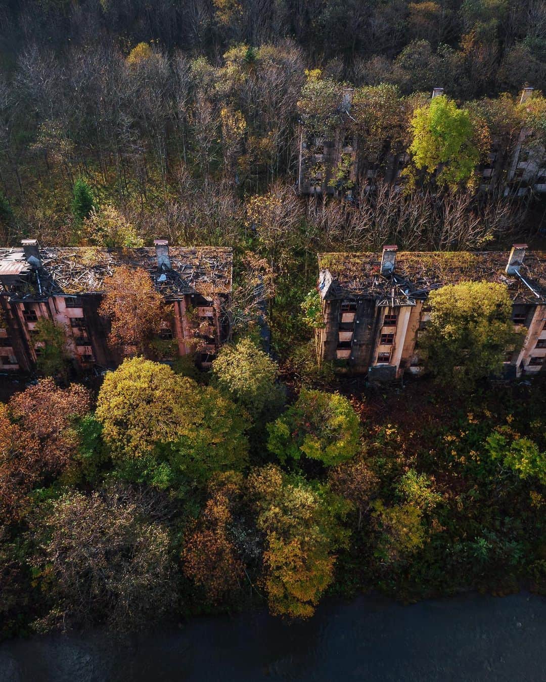 啝 （わ）のインスタグラム：「Abandoned apartment in Autumn colors 𓆲 𓆲 𓆲 #droneoftheday #djimavicpro #djiglobal #drone #dronephotography #dronestagram #dji #topdronephotos #fromwhereidrone #wedroneasia #droneosoar #skyhilife  #japan_urbex #JJ_URBEX #made_in_decay #kf_urbandonedmasks #KINGS_ABANDONED #m3xtures #Meistershots #moodygrams #nature_takes_over #natures_reclaim #ominous_perfection #pr0ject_uno #rsa_preciousjunk #savethedecay #sfx_decay」