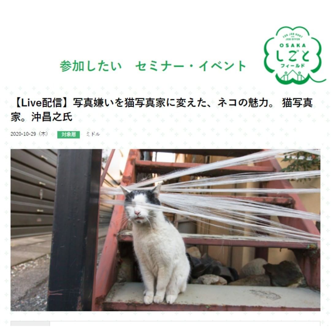 Masayukiさんのインスタグラム写真 - (MasayukiInstagram)「【本日12時よりLive配信】   10月29日　OSAKAしごとフィールド企画　 写真嫌いを猫写真家に変えた、ネコの魅力。 猫写真家。沖昌之 トークライブ※　こちらのセミナーはライブ動画配信での開催です 。   とくにやりたいことも見つからず、ひょんなことから今の仕事と出会い猫写真家になったきっかけを語ってもらいます。 1時間予定。 お昼休憩にご飯食べながらでもご覧いただけるとうれしいです。  ご予約必要なので ご希望でしたらメッセージください。 URLをお送りいたします。お待ちしております！」10月29日 8時32分 - okirakuoki