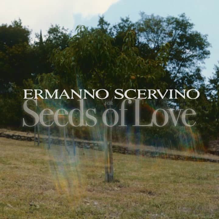 のインスタグラム：「Harmony, femininity, beauty, love for the Tuscan territory and strict respect for the environment. Ermanno Scervino presents “Seeds Of Love”, a project in collaboration with the Botanical Garden of Florence @museostorianaturale and dedicated to women, their beauty and their closeness to nature.  . . . #ErmannoScervino #SeedsOfLove #Florence #Biodiversity」