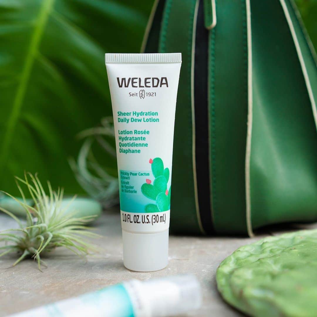 Weledaのインスタグラム：「This fast-absorbing lotion delivers a weightless veil of breathable hydration to the skin! 🌵💧The light and silky texture of the water-gel lotion absorbs quickly and leaves you looking vibrant and feeling refreshed throughout the day. SWIPE to experience the Sheer Hydration Daily Dew Lotion. #WeledaSkin」
