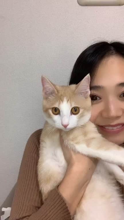 緑川静香のインスタグラム
