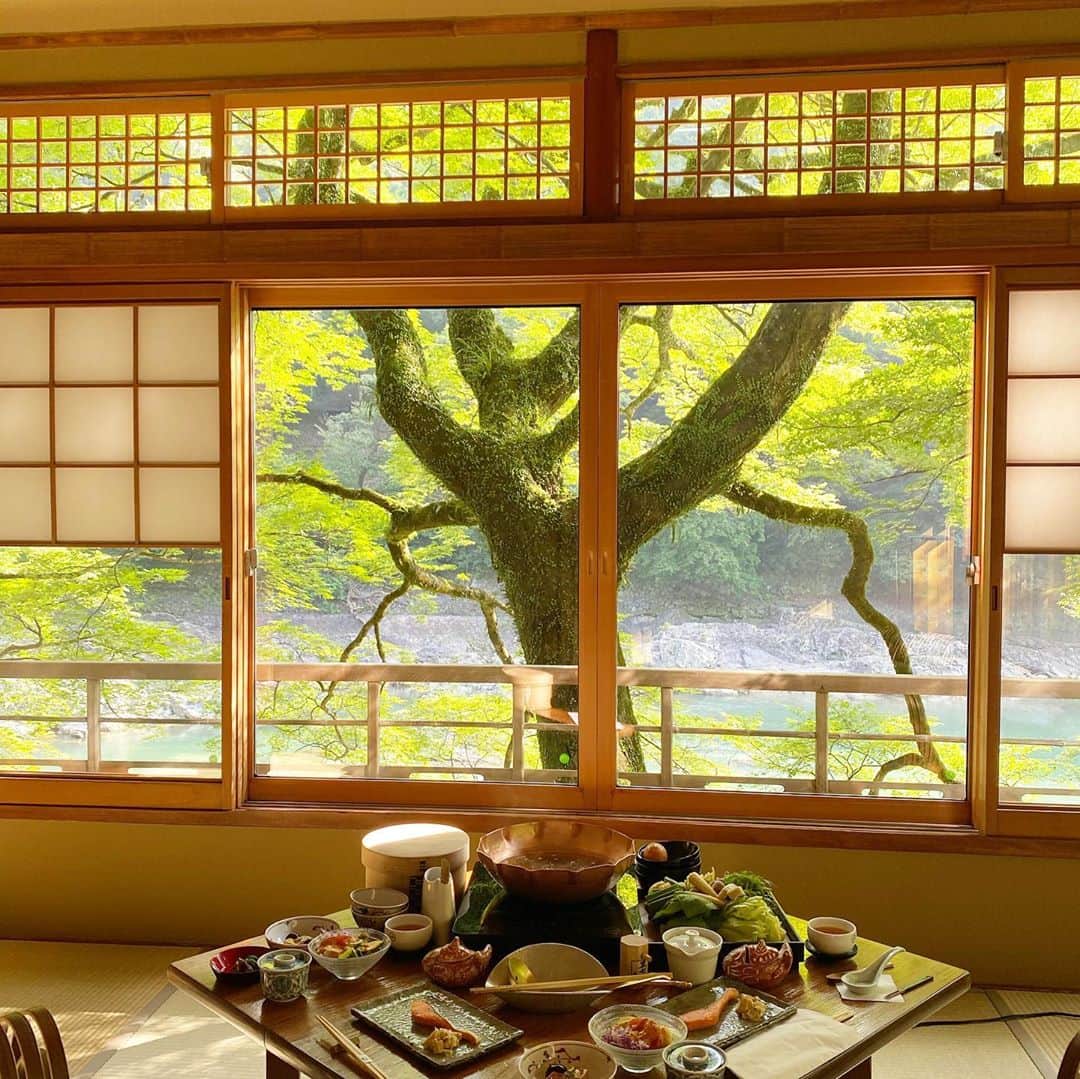 ayumiのインスタグラム：「🌞 夏に行ったほしのやさん😚🥰 自然たっぷりの中で朝ごはん素敵だったな〜🤤🌳 　 #星野や京都」