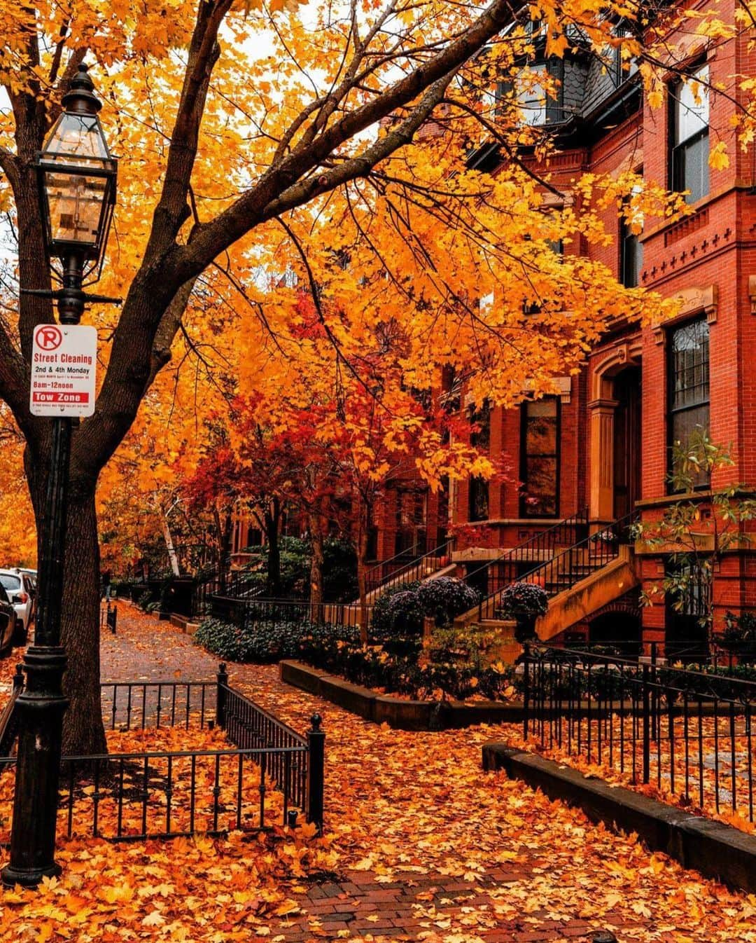 Wonderful Placesさんのインスタグラム写真 - (Wonderful PlacesInstagram)「Lovely fall in Boston - Massachusetts ✨❤️❤️🍁🍁✨ . Pictures by ✨✨@pocketboston✨✨ #wonderful_places for a feature ❤️🍁」10月29日 0時41分 - wonderful_places