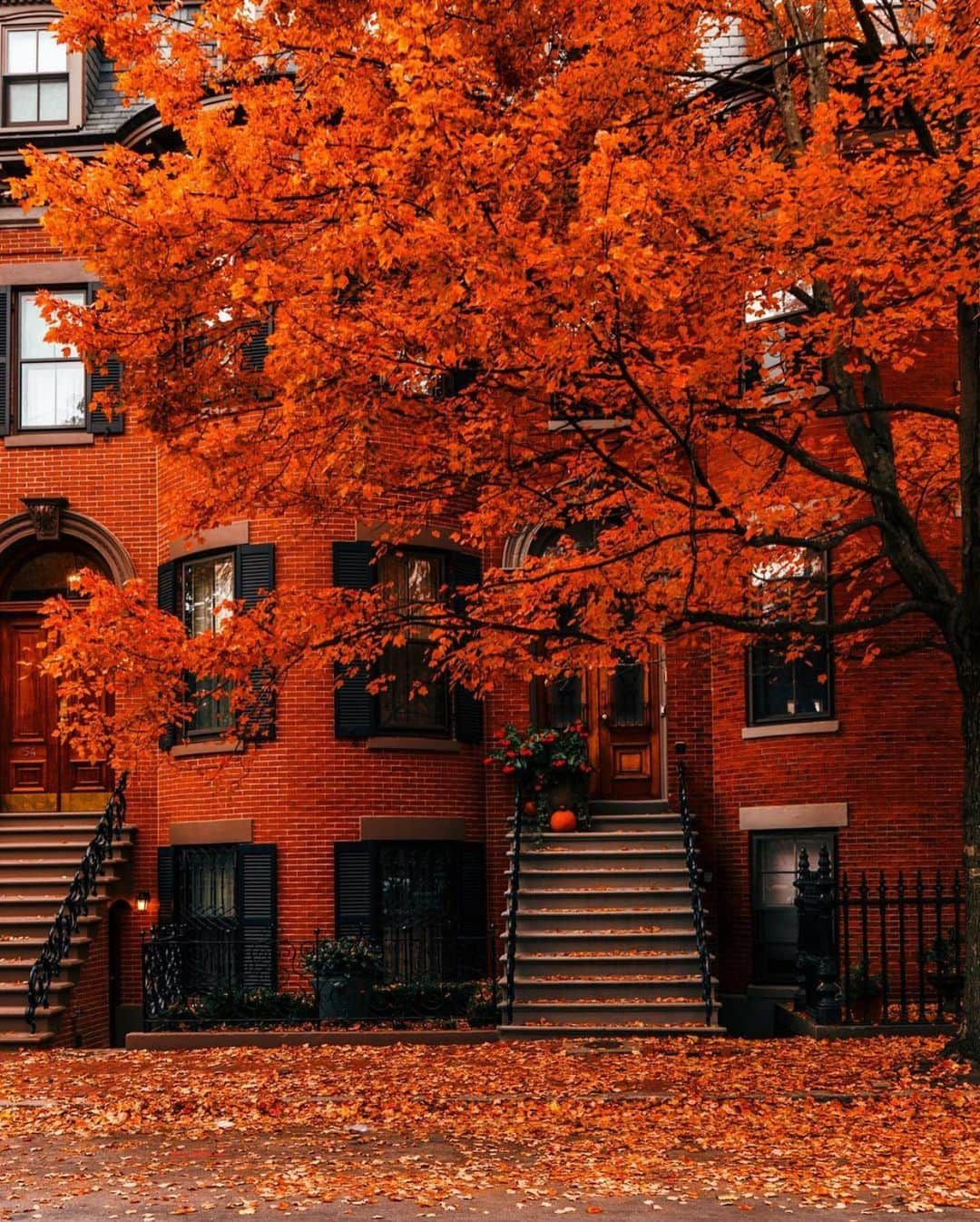 Wonderful Placesさんのインスタグラム写真 - (Wonderful PlacesInstagram)「Lovely fall in Boston - Massachusetts ✨❤️❤️🍁🍁✨ . Pictures by ✨✨@pocketboston✨✨ #wonderful_places for a feature ❤️🍁」10月29日 0時41分 - wonderful_places