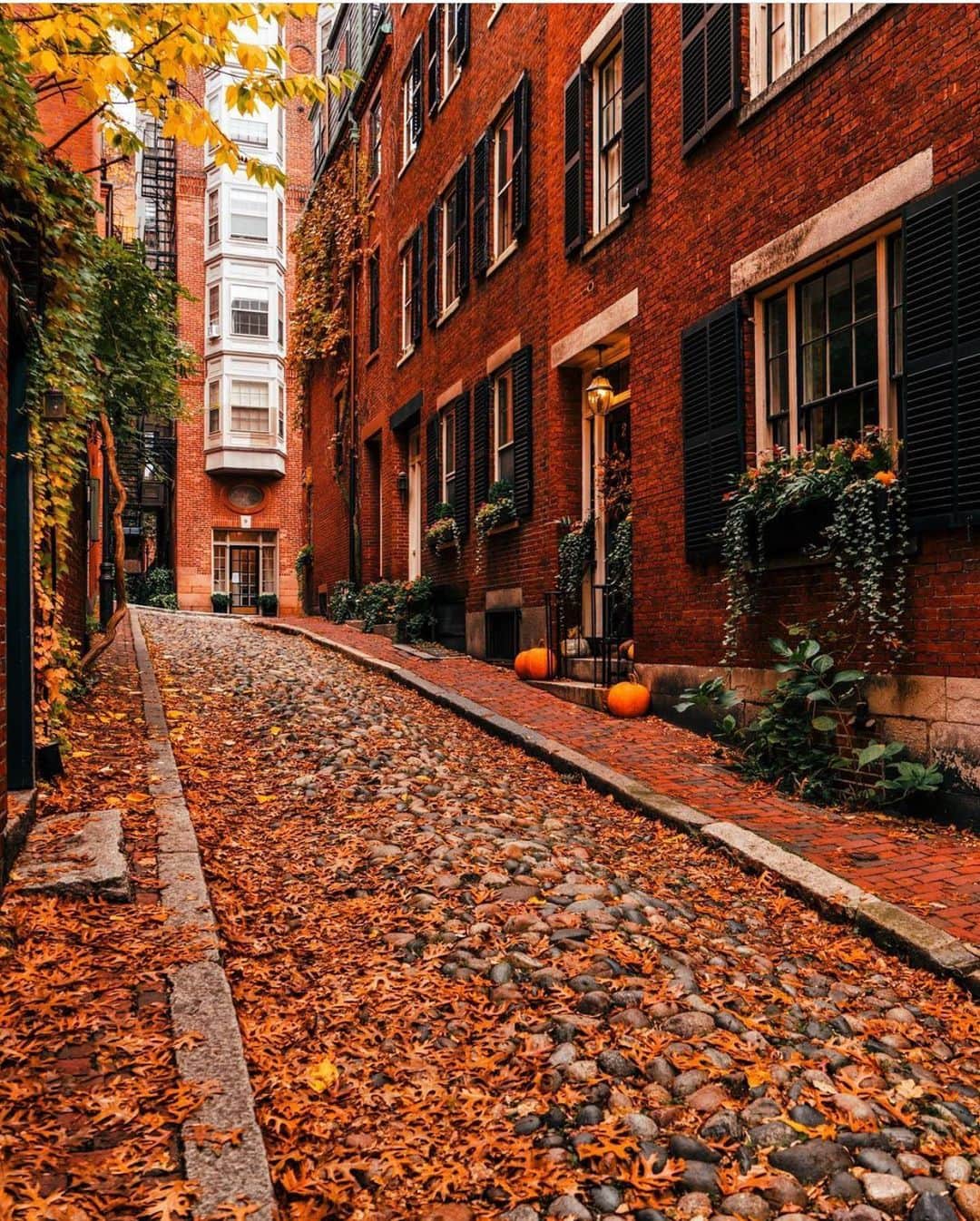 Wonderful Placesさんのインスタグラム写真 - (Wonderful PlacesInstagram)「Lovely fall in Boston - Massachusetts ✨❤️❤️🍁🍁✨ . Pictures by ✨✨@pocketboston✨✨ #wonderful_places for a feature ❤️🍁」10月29日 0時41分 - wonderful_places