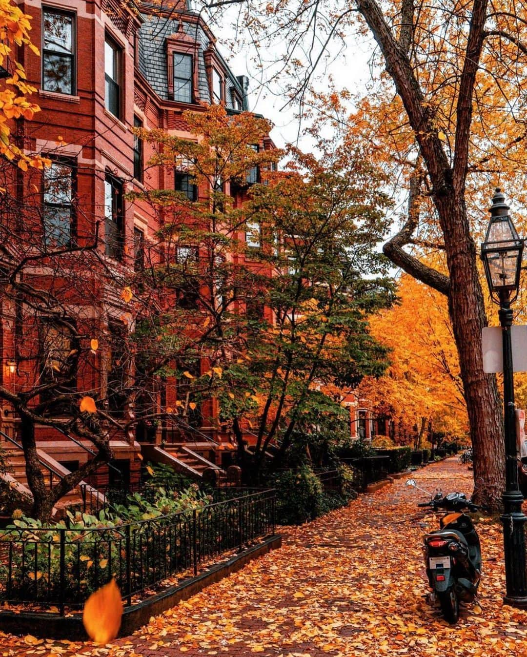 Wonderful Placesさんのインスタグラム写真 - (Wonderful PlacesInstagram)「Lovely fall in Boston - Massachusetts ✨❤️❤️🍁🍁✨ . Pictures by ✨✨@pocketboston✨✨ #wonderful_places for a feature ❤️🍁」10月29日 0時41分 - wonderful_places