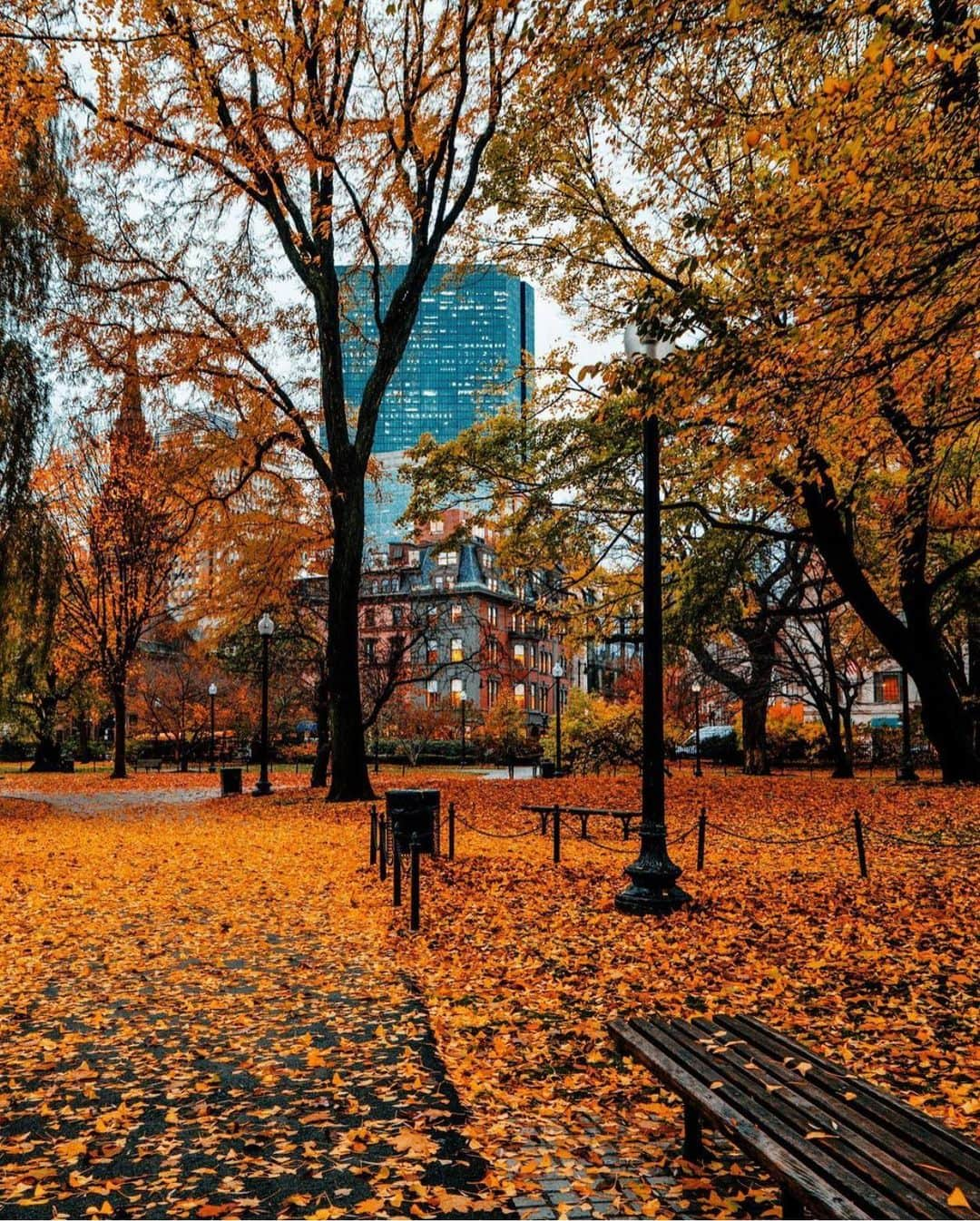 Wonderful Placesさんのインスタグラム写真 - (Wonderful PlacesInstagram)「Lovely fall in Boston - Massachusetts ✨❤️❤️🍁🍁✨ . Pictures by ✨✨@pocketboston✨✨ #wonderful_places for a feature ❤️🍁」10月29日 0時41分 - wonderful_places