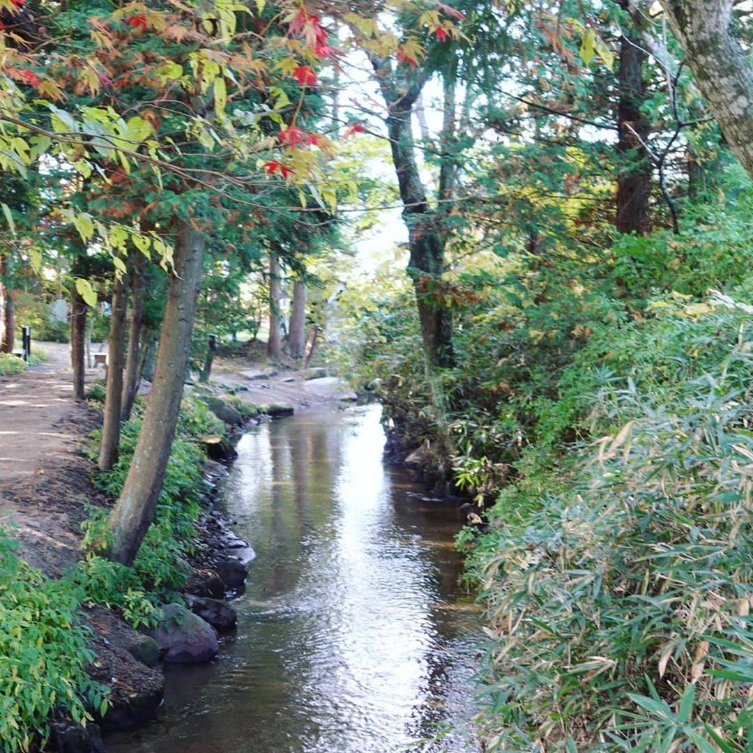 佐野碧さんのインスタグラム写真 - (佐野碧Instagram)「Do you know Kappa in Japan?   In the very beautiful autumn leaves,  we went to the river where kappa is lying.   In order to call Kappa, I tried to feed the cucumber.　  YouTubeも是非チェックしてください❣️  【 AOI SANO plofile】 仙台出身、アジアで活躍するシンガーソングライター。 東日本大震災直後より、音楽を通した東北の支援活動を行う。同じ被災国であるネパールと並行して支援活動を続けている。ネパールでの支援活動をきっかけとし、ネパールで誰もが知る日本人歌手として絶大な人気を誇ります。 日本テレビ「ZIP!」ハテナビコーナーにて、海外で有名な日本人として大々的に特集される。 また、現地の国民的人気番組ナマステTVSHOWでの出演時のYouTube動画は再生回数130万回を突破。現地で毎年主催をしているチャリティフェスティバルは延べ5000人以上が参加している。 日本では、2020.2021年NHKにて彼女の活動を追ったドキュメンタリー番組が放送され、大きな話題を呼ぶ。  AOI SANO born in Sendai Japan is a singer-song writer active in Asia. She writes lyrics, composes music, and produces herself. The lyrics she wrote express deep sadness and gently push people’s back. Just after the Higashi Nihon big earthquake in 2011, she started to support the people living there. She also continues support activities in Nepal after the big earthquake in 2015. She appeared on Namaste TV Show in Nepal, which was delivered with You Tube video viewed by more than one million. Every year she hold charity festival in Nepal, more than 5,000 people joined altogether. In Japan, NHK televised her documentary program in 2019, 2020 which called a big topic.    #歌詞　#言葉集　#佐野碧歌詞　#ネパール　#光　#international　#ありがとう　#パワースポット　#河童　#自然　#魂  #河童　#nature #natural #nepal #earth #awsomeearth  #エネルギー　#energy #空好き#sunny  #sky #sunshine #tourism #旅行　#旅 #繋がる空 #ネパール好き」10月29日 0時47分 - aoi_sano