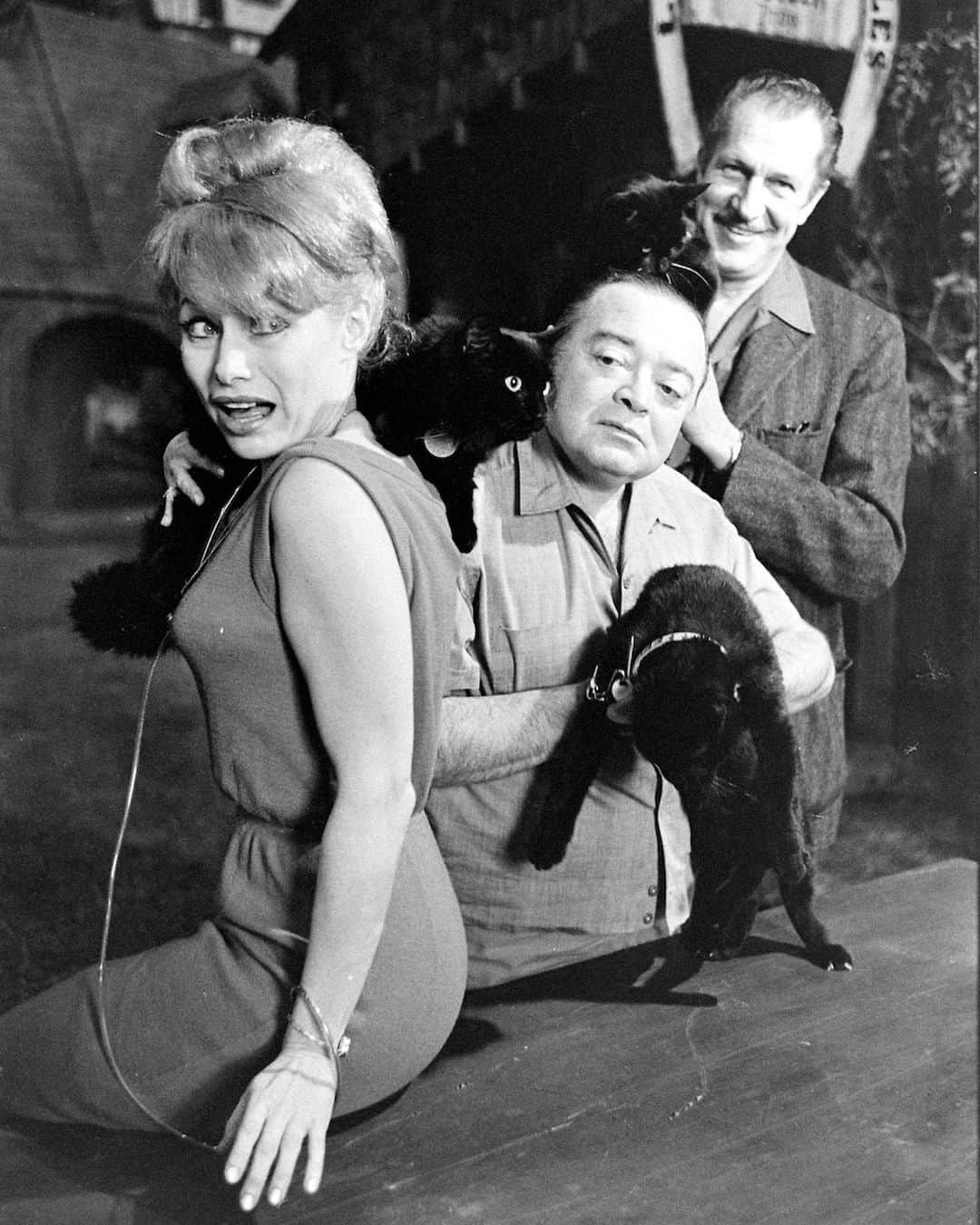 lifeさんのインスタグラム写真 - (lifeInstagram)「In 1962, 152 black cats (and their owners) answered a newspaper ad to star in the latest Roger Corman classic "Tales of Terror." LIFE was there to catch the kitties in line and for screen tests with the stars Peter Lorre, Vincent Price, and Maggie Pierce.   To see more black cat audition photos — and to find out who won the role! —check the link in bio. (Ralph Crane/LIFE Picture Collection) #rogercorman #blackcatsofinstagram #vincentprice #wildlifewednesday #1960sfashion」10月29日 1時08分 - life