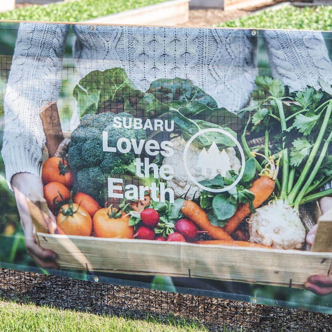 Subaru of Americaさんのインスタグラム写真 - (Subaru of AmericaInstagram)「What's your favorite fruit/vegetable? In partnership with the @PhilaUnion, we are proud to announce our #SubaruLovesTheEarth Garden for Good at #SubaruPark. Throughout the year, we will be donating 25,400 servings of organic fruits and vegetables to local Chester, PA food banks.🥬🍅」10月29日 1時11分 - subaru_usa