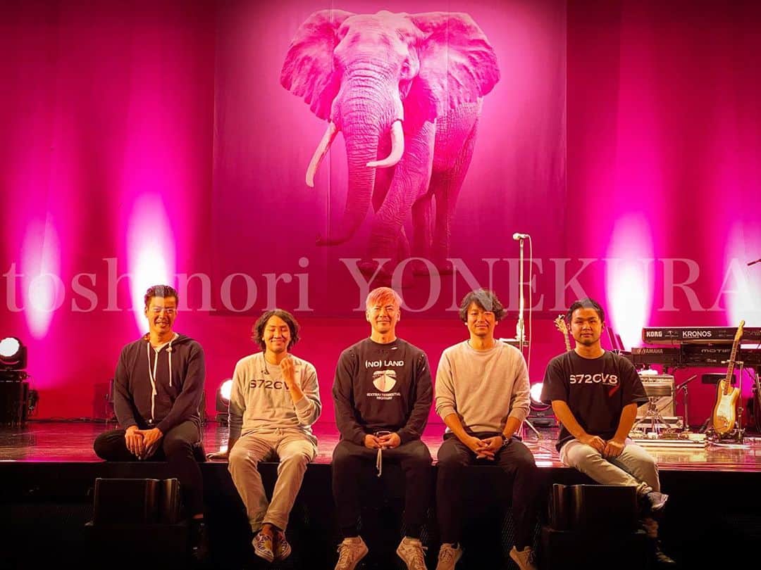 米倉利紀さんのインスタグラム写真 - (米倉利紀Instagram)「pink ELEPHANT -WE ARE BACK @ ZEPP NAMBA」10月29日 1時35分 - toshi_yonekura