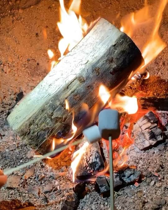 ブレッヒェ・ハイネンのインスタグラム：「🔥⛺️ Camping memories」