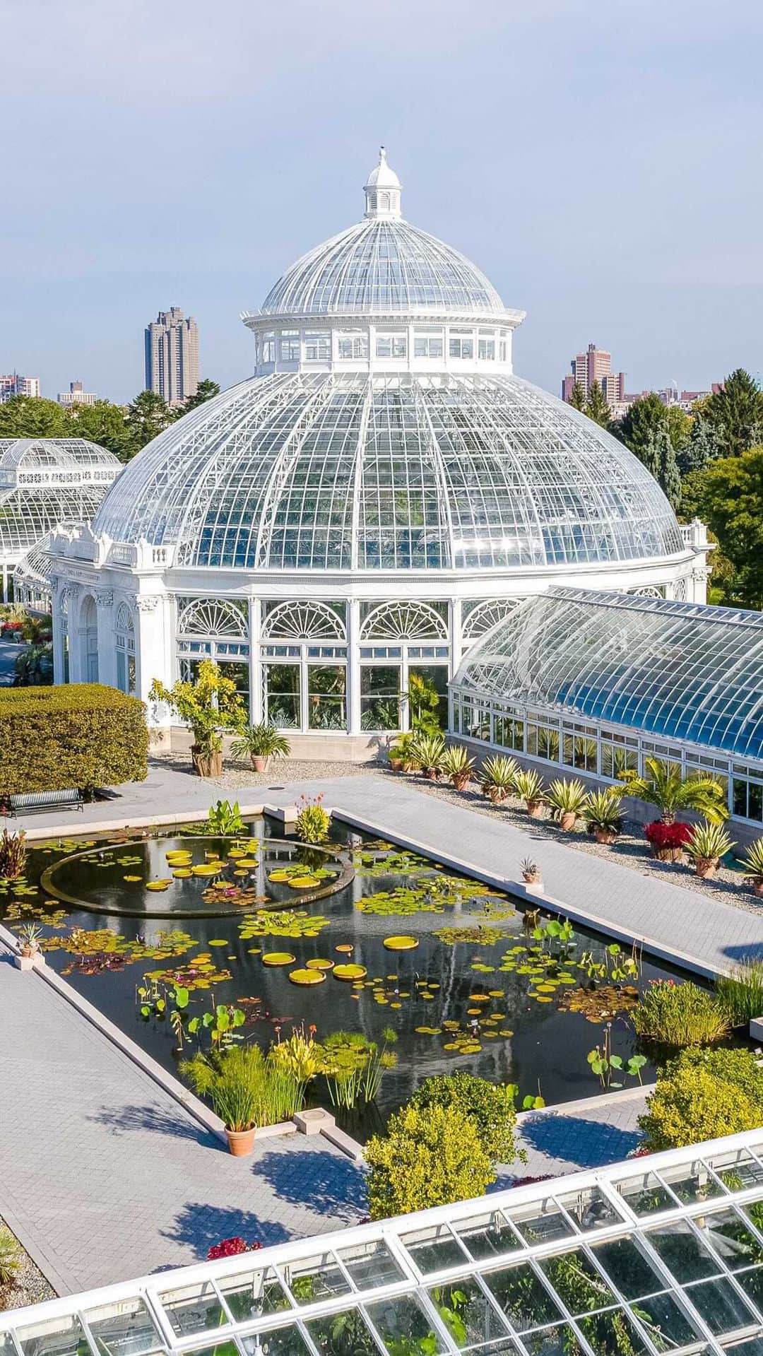 ニューヨーク植物園のインスタグラム：「Join us among the beauty of the Conservatory Courtyard for our final Garden Set of 2020. . Two stars from the @nyphilharmonic, principal clarinetist Anthony McGill—winner of this year’s Avery Fisher Prize—and principal harpist Nancy Allen, performed earlier this year surrounded by brilliant water lilies and lotuses at their peak. Relax to their expert musicianship, then hit the link in our bio to find more from our year of music at the Garden. . #plantlove #nybgathome #museumfromhome #culturefromhome」