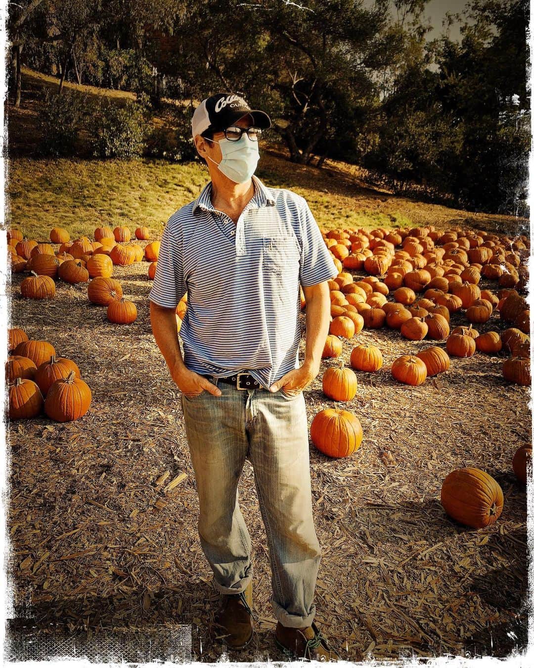 ロブ・モローのインスタグラム：「“I’d say the first thing you need is...a pumpkin” - Cinderella」