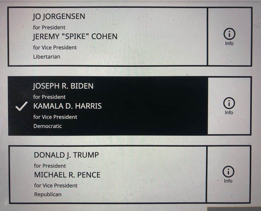 ヤニ・ゲルマンのインスタグラム：「GO. JOE. #ivoted #2020 #joebiden #president」