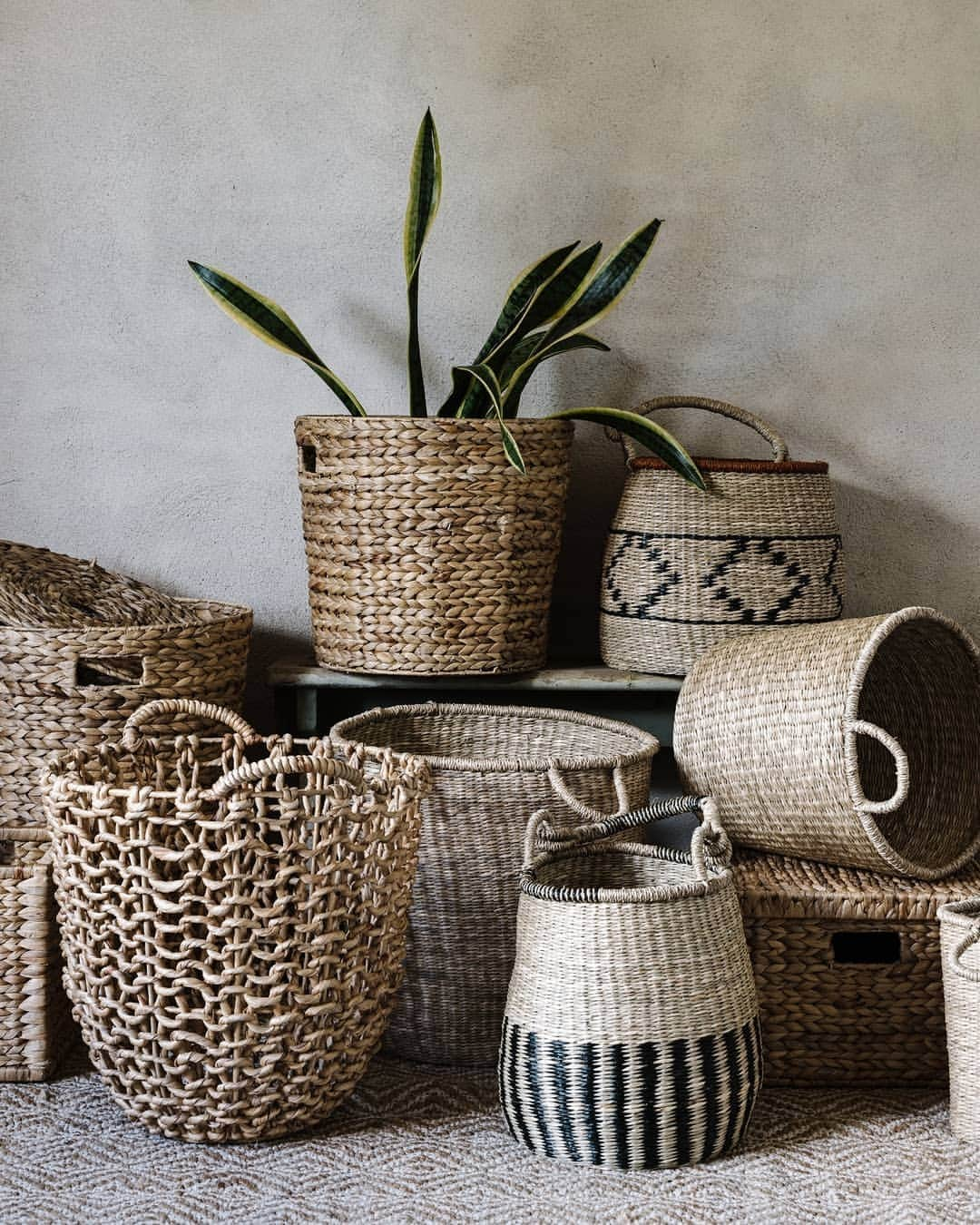 Target Australiaさんのインスタグラム写真 - (Target AustraliaInstagram)「A new season is the perfect time for a style refresh. Choose one of our baskets to create a beautiful plant holder for your indoor plants  🎯♥️ #targetaus #targetaushome」10月29日 5時20分 - targetaus