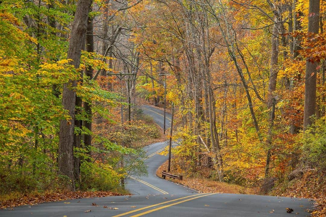 Michael Yamashitaさんのインスタグラム写真 - (Michael YamashitaInstagram)「Voting with a view: Autumnal tones are peaking right now in Chester, New Jersey, as is early voting across America. Combine optimal leaf-peeping across the Northeast with getting out to vote. Here are a few frames to give a glimpse of what fall looks like in my neighborhood. With most Americans totally stressed about voting this year, please get it done by voting early! #voteearly #chesternewjersey #autumnvibes #ilovechesternj_official #leafpeeping #fall2020 #njspots #gardenstate」10月29日 5時24分 - yamashitaphoto