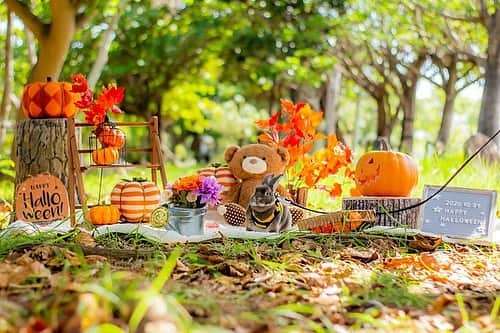 Kayoのインスタグラム：「みつばち🐝を探して♡ ・ ・ いくらんもハロウィン撮ってもらた🎃 セットなぎ倒してぶち壊すんちゃうかとヒヤヒヤしたけど奇跡的に無事💦 ・ ・ photo by. @photoyoubae」