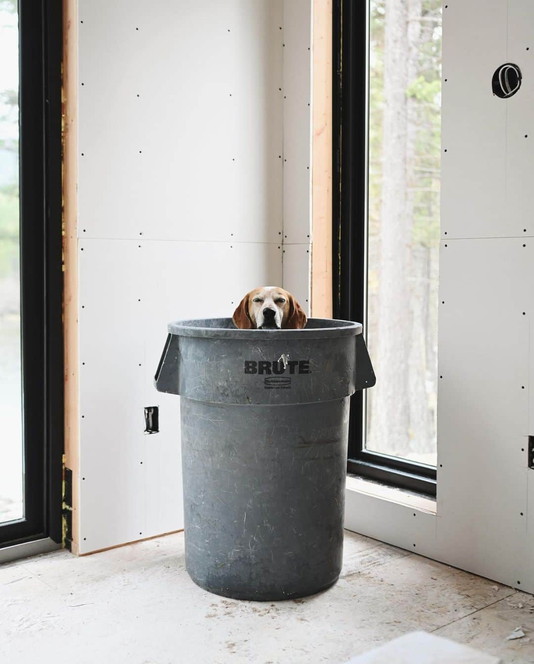 マディさんのインスタグラム写真 - (マディInstagram)「We’re finally done hanging all the big drywall! Just a few window sills left tomorrow and onto mud ⁣ ⁣ This part of the house build is the hardest work I’ve ever done. It’s an incredible craft and I’d be fine never doing it again. These folks who hang and mud are worth their weight no doubt. ⁣ ⁣ I worked out a deal with a wonderful local dry wall craftsman (that title is a worthy one) he’s one of the few old school fellas nearby left willing to spend the extra time doing a level 5 smooth finish. To offset that extra expensive I’ve been helping him hang and learning....it was worth it. I think. Maybe.⁣ ⁣ I likely would recommend simply paying out the ears for their part of a build and having it done right and taking a 3 week vacation....next time!」10月29日 6時46分 - thiswildidea