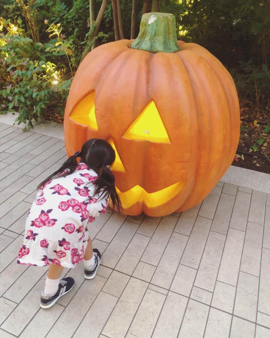 安めぐみさんのインスタグラム写真 - (安めぐみInstagram)「大きなカボチャ発見🎃✨ #カボチャ #ハロウィンですね」10月29日 16時49分 - yasu_megumi_official