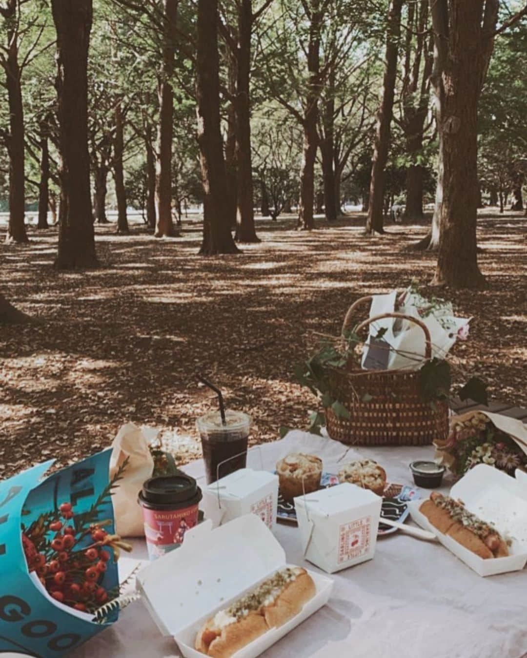 田中里奈さんのインスタグラム写真 - (田中里奈Instagram)「代々木公園でお花を持ってピクニック🌷  好きなお花屋さんのお花を持ち寄ってピクニックするという素敵な企画。 相変わらずの晴れ女っぷりを発揮し、暑いくらいのお天気だったので、ここぞとばかり深呼吸して、めいっぱい光合成してきました。  小顔矯正で何年もお世話になってるあゆみさんは、 毎日を楽しむプロ。 そして私にとっての人間パワースポット✨ あゆみさんが人生に現れてくれて、 私はほんとラッキーだな〜って思います☺️ふふふ （会いたい方は是非ルポルテに☺️） スペシャルゲストでオーナーの森さんも現れて、 楽しい会になりました✌️  ピクニックって、もうそれだけで楽しい。準備すら楽しいもんね。 この気持ちがいい季節、もっと続いてくれたらいいのにな〜  #ピクニック #代々木公園」10月29日 17時05分 - tanakaofficial