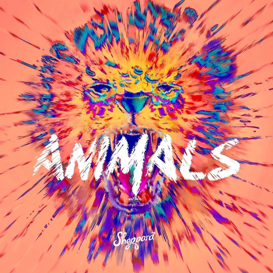 シェパードのインスタグラム：「6 HOURS UNTIL ‘ANIMALS’ IS RELEASED!!!」