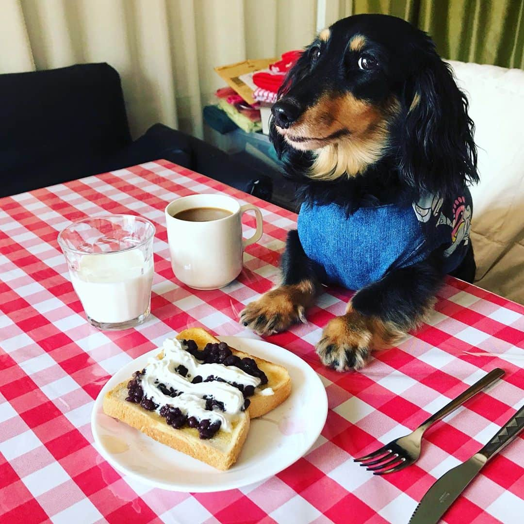 メルロコ一家の楽屋裏のインスタグラム