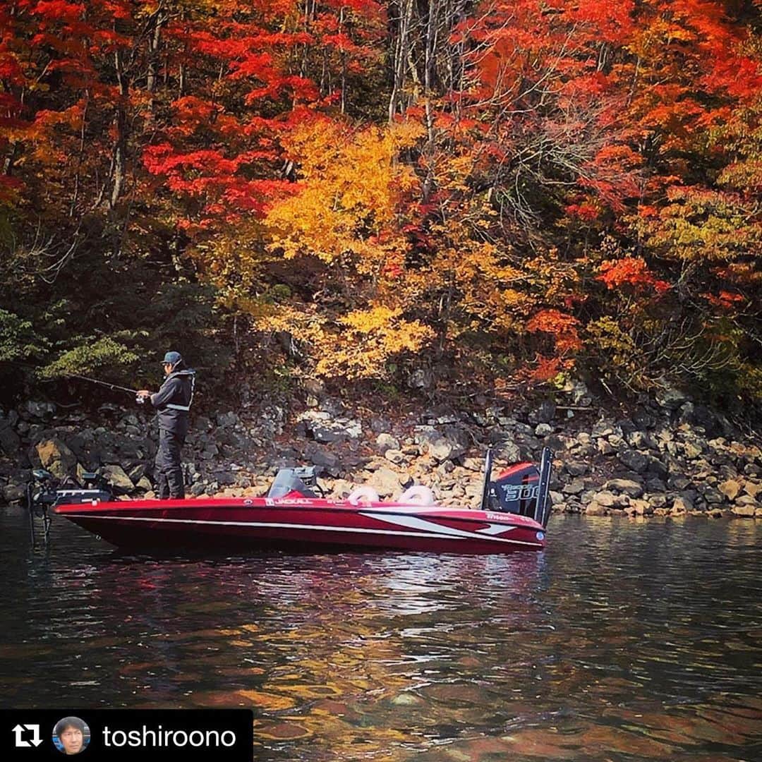 ジャッカルさんのインスタグラム写真 - (ジャッカルInstagram)「Autumn in Lake Hibara.  #repost @toshiroono with @make_repost   紅葉を釣る。  @jackall_jp @shimanofishing_jp @shimano_bass @triton_boats_official   #jackall #toshiroono #shimano #shimanofishing #poisonglorious #poisonultima #poisonadrena #lakehibara #autumn #fall #japan #ジャッカル #小野俊郎 #シマノ #ポイズングロリアス #ポイズンアルティマ #ポイズンアドレナ #桧原湖 #紅葉」10月29日 17時27分 - jackall_jp