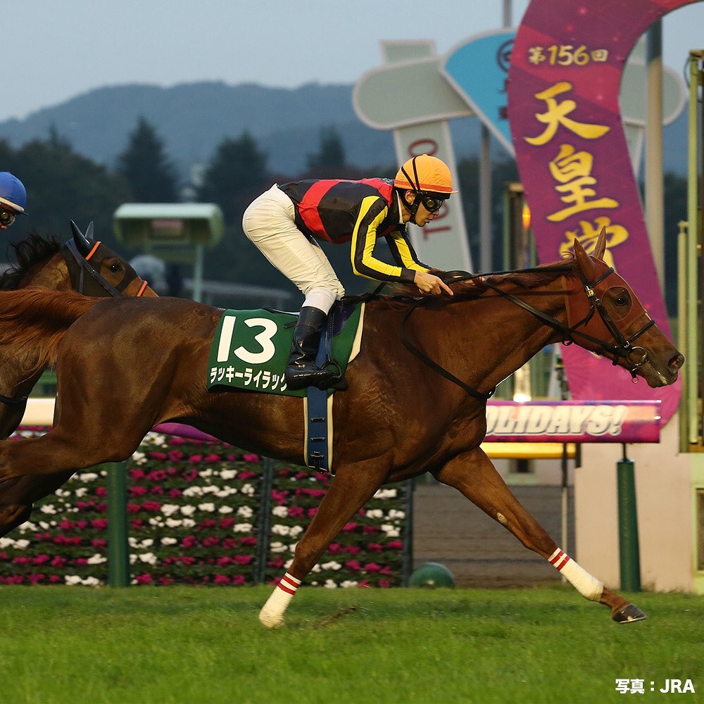 umabi_officialのインスタグラム：「今週の土曜日は、アルテミスステークス(GIII)  #2017年の優勝馬は #ラッキーライラック #次走の #阪神ジュベナイルフィリーズ を制し #今年の #大阪杯 も制覇 #ちなみに2着は13番人気だった #サヤカチャン だよ #うまび」