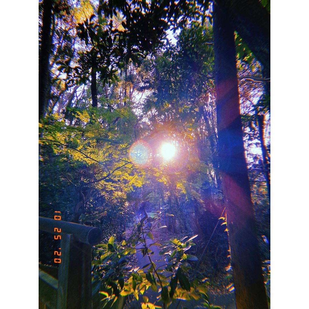 平祐奈さんのインスタグラム写真 - (平祐奈Instagram)「宗像大社⛩ 日本最古の神社のひとつ。  厳島神社と同じく宗像三女神が御祭神として祀られています。 去年両親と旅行でも訪れたくらい私の好きな神社です☺︎  厳かな佇まいに神聖な空気、参道を歩く時の砂利の音と鳥の囀りと神々しいパワー満載の朝日。 贅沢な時間でした✨  早朝参拝はとてもいいですねぇ。 身も心も整えられ1日をより心穏やかに過ごせた気がします☘️ #宗像大社 #宗像国際環境会議」10月29日 17時35分 - yunataira_official