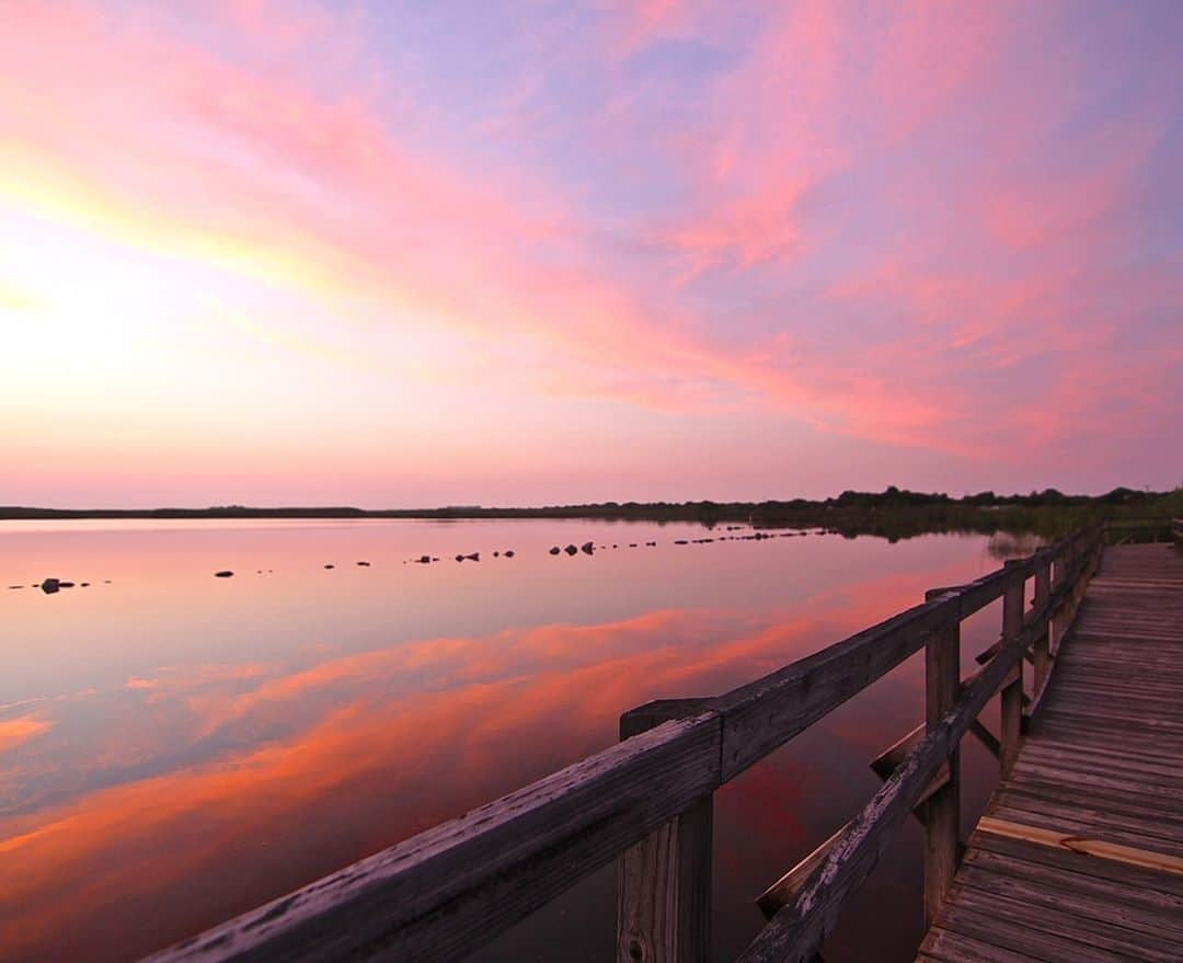 アメリカ内務省さんのインスタグラム写真 - (アメリカ内務省Instagram)「Vibrant colors and wispy clouds appear to dance at sunset over Back Bay National Wildlife Refuge in #Virginia. Offering #beach and #wetland habitats to explore, the wildlife refuge extends a quiet charm to the #VirginiaBeach area and provides over eight miles of scenic trails. There's something incredible about standing under an open sky, listening to your surroundings come alive with birdsong and enjoying the subdued drama by the setting sun. It begs us to take a moment and enjoy the day's last light. Photo by Heather Bautista (www.sharetheexperience.org). #usinterior #nationalwildliferefuge」10月29日 9時00分 - usinterior