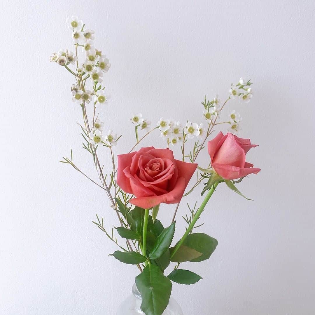 SPURさんのインスタグラム写真 - (SPURInstagram)「ニュアンスのある色あいにぐっときます。バラはカラーによっていろんな表情を見せてくれますね😊（編集U）  #SPUR #SPURflower #バラ #Flowers #花のある暮らし #花と暮らす #花を飾る #花のある生活 #フワラーアレンジメント #rose #薔薇」10月29日 9時00分 - spurmagazine