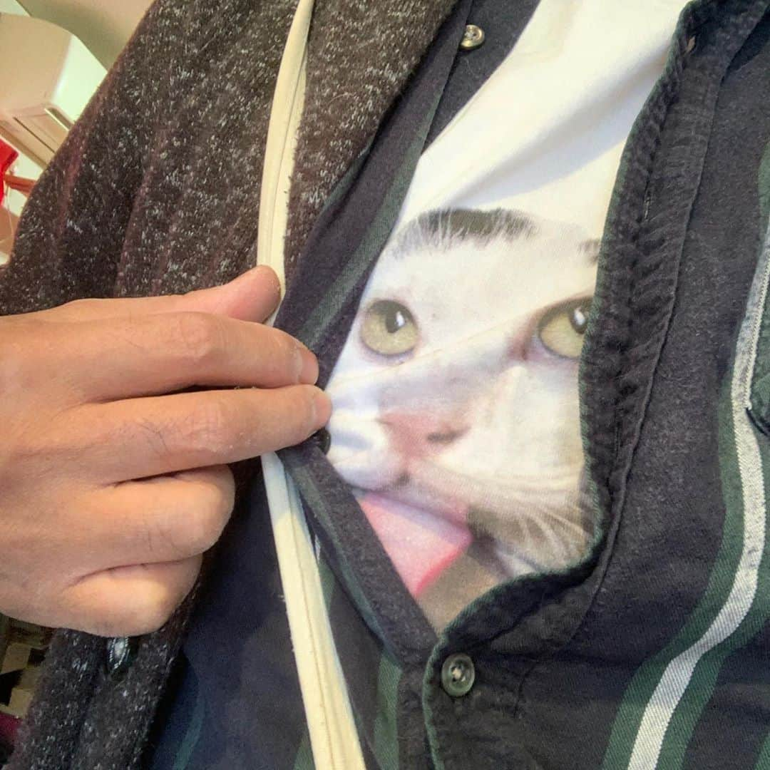 Kachimo Yoshimatsuさんのインスタグラム写真 - (Kachimo YoshimatsuInstagram)「今日はこれ着て出社。 I'm going to work today wearing this T-shirt. #ナナクロ #nanakuro #uchinonekora #neko #cat #catstagram #kachimo #猫 #ねこ #うちの猫ら #suzuri http://kachimo.exblog.jp」10月29日 10時10分 - kachimo