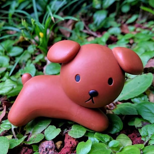 MEDICOM TOYさんのインスタグラム写真 - (MEDICOM TOYInstagram)「🐶🐾🌿🌿 © Mercis bv  #ミッフィー #dickbruna #udf  #medicomtoy #メディコムトイ #bearbrick #ベアブリック」10月29日 10時30分 - medicom_toy