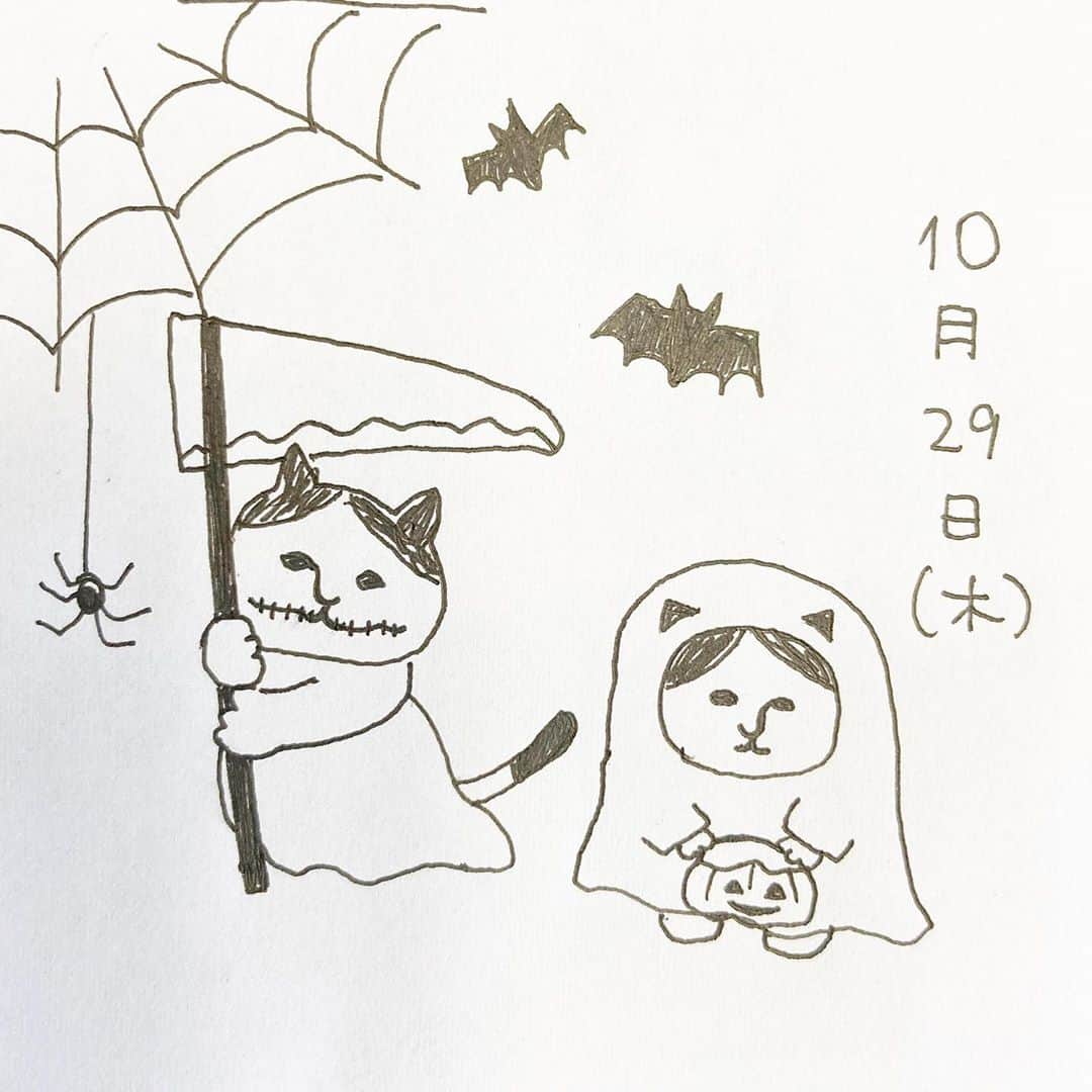 ねこさんのインスタグラム写真 - (ねこInstagram)「今日のねこ。ハロウィンが楽しみなねこ。🎃 #neko_magazine #NEKONOBA #ねこマガジン #ネコノバ #ねこ #猫 #cat #catstagram #cat #雑誌ねこ #ねこ雑貨」10月29日 11時27分 - neko_magazine