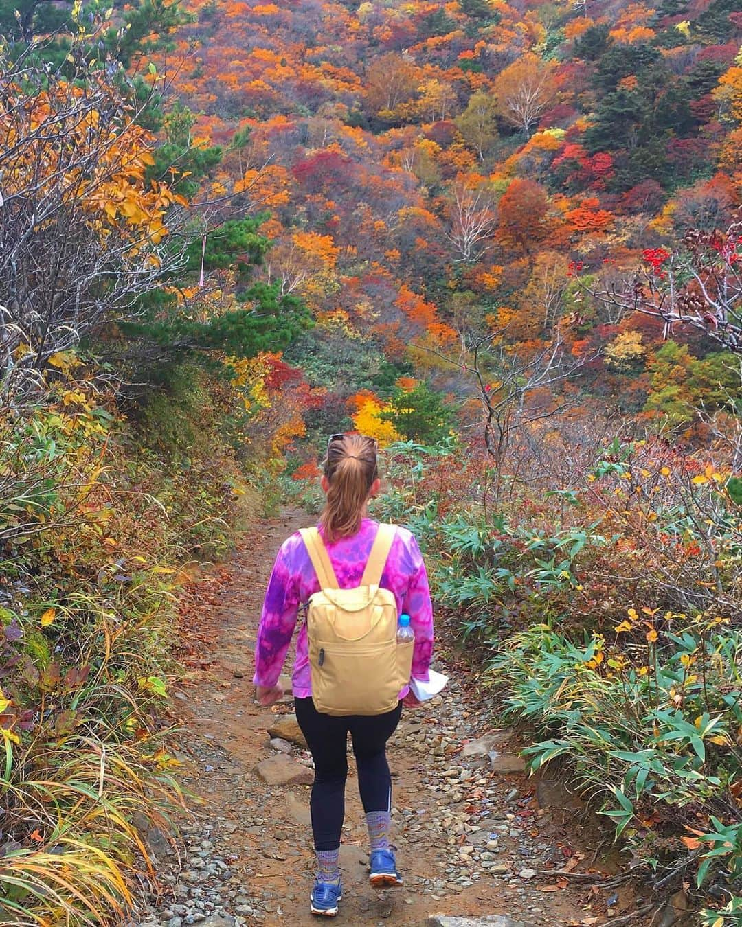 Rediscover Fukushimaのインスタグラム：「Mt. Adatara painted in a warm rainbow of colors contrasted by the blue sky😍✨  Swipe right to see the blue sky and hear the birds 🎶🐥  The top of the mountain is starting to lose her leaves, but lower down the mountain it’s still colorful. 🍂✨💕  🏃🏽‍♀️Hike Mt. Adatara: https://fukushima.travel/destination/mt-adatara/17  On Instagram we only post part of our stories, connect with us on Facebook at “Travel Fukushima Japan” to find out more! ✨  #mountain #hiking #outdoors #activelifestyle #healthylifestyle #excersise #autumn #fallcolors #gooutside #Fukushima #Japan #JapanTrip #VisitFukushima! #fallisintheair #MountAdatara #Adatarayama #福島　#アウトドア　#あだたらやま  #日本百名山 #100famousjapanesemountains」