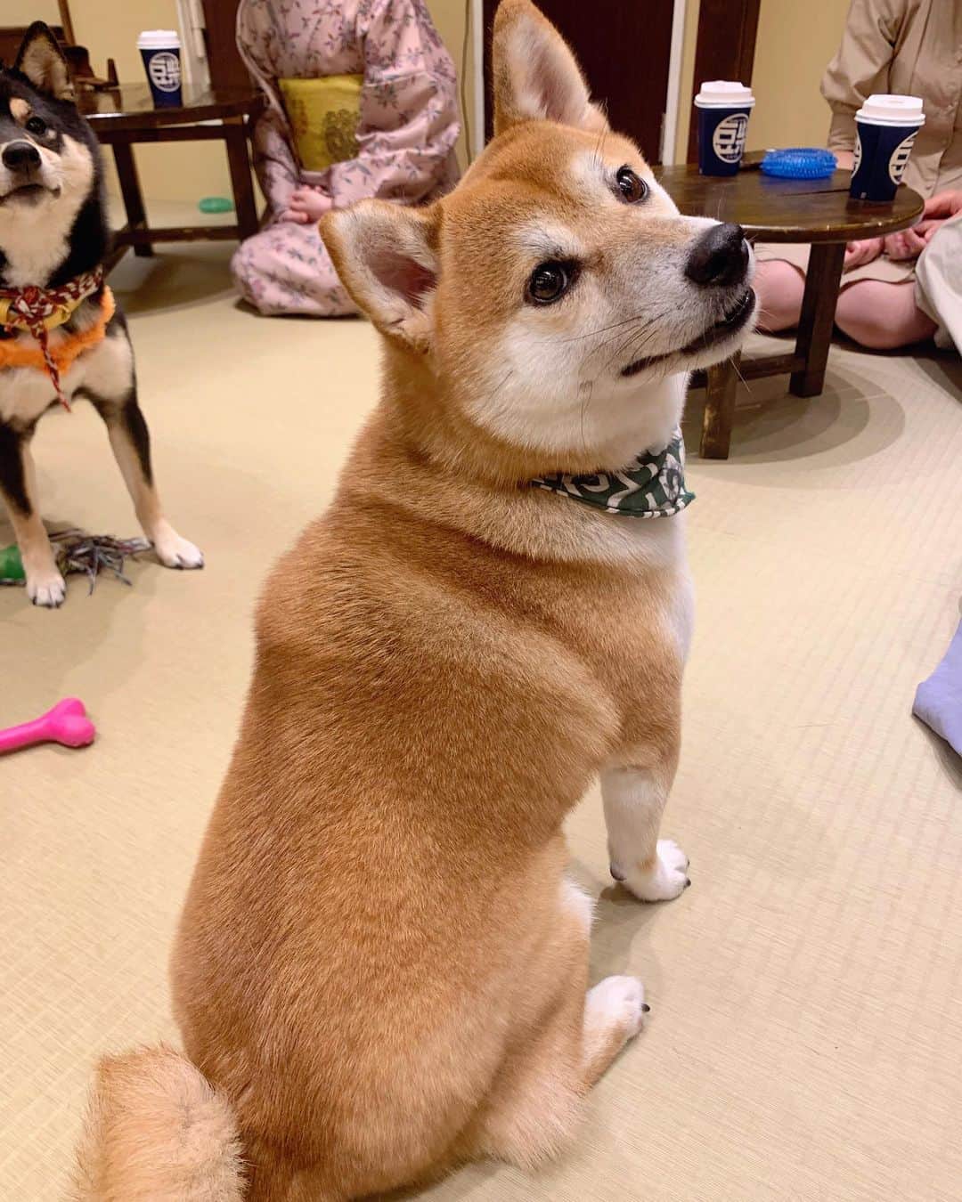 坂野志津佳のグルメインスタ