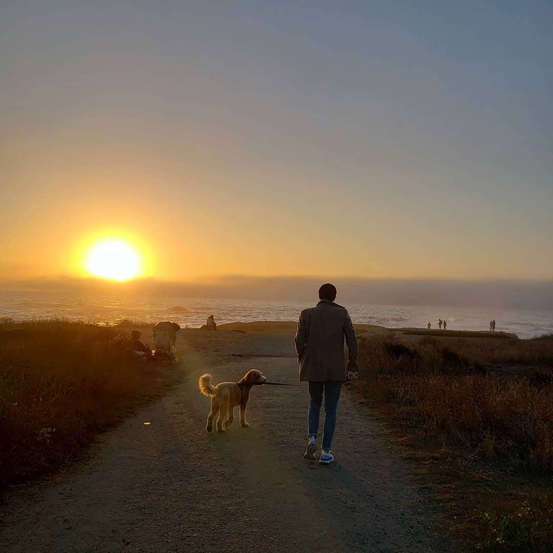 ソフィー・シュミットさんのインスタグラム写真 - (ソフィー・シュミットInstagram)「From 🏜️ to 🌊 Road trip chronicles continued. (we made it home (to quarañteen) safely) . . . #Adventure #RoadTrip #Goldendoodle #DogsofInstagram #Dogs #ocean #Travel #Sunset」10月29日 13時00分 - sophieschmidt13