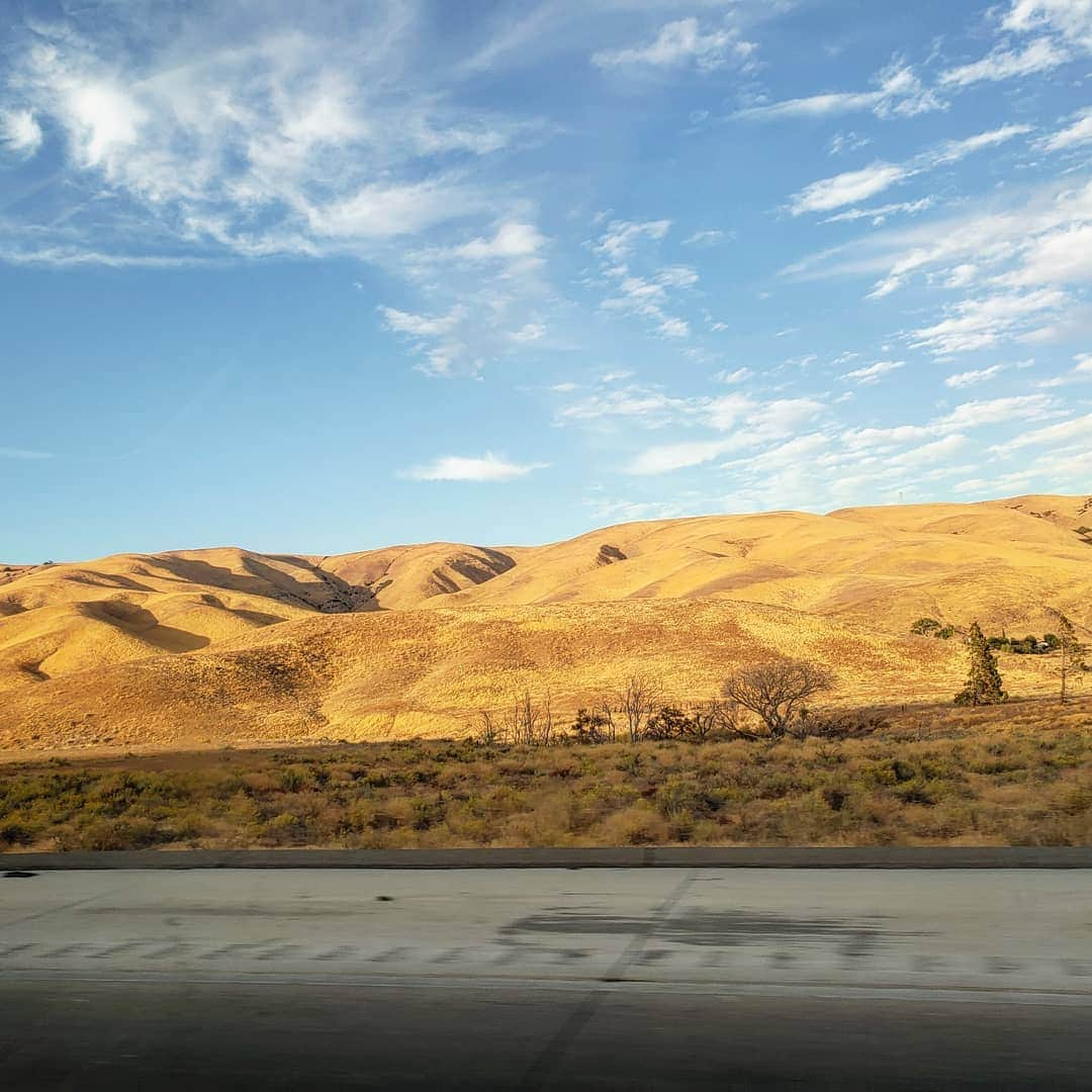 ソフィー・シュミットさんのインスタグラム写真 - (ソフィー・シュミットInstagram)「From 🏜️ to 🌊 Road trip chronicles continued. (we made it home (to quarañteen) safely) . . . #Adventure #RoadTrip #Goldendoodle #DogsofInstagram #Dogs #ocean #Travel #Sunset」10月29日 13時00分 - sophieschmidt13