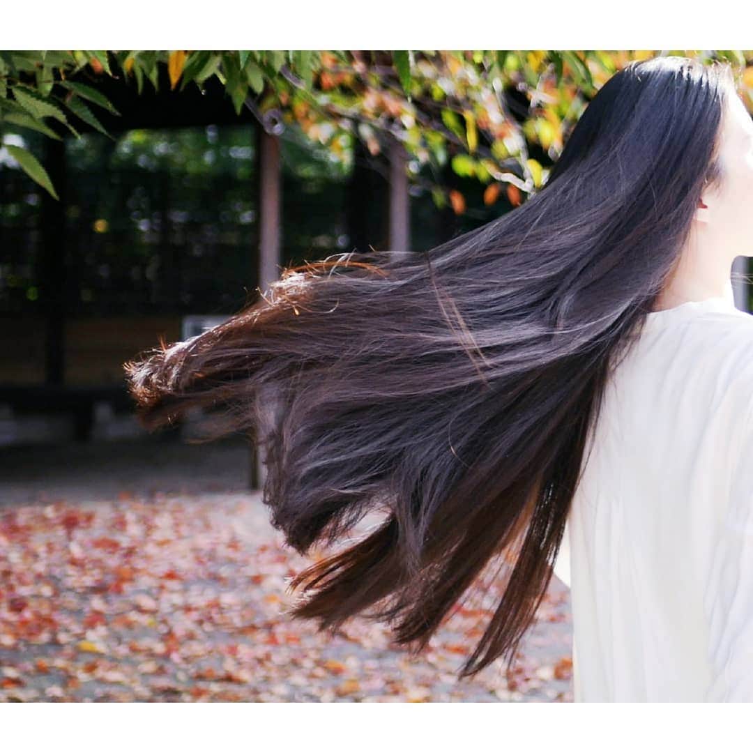花柳凜さんのインスタグラム写真 - (花柳凜Instagram)「ヘアやヘアケアについて少しお話ししてますので、#京都きもの市場 さんの #きものと  覗いてみてください。 怠け者の私の超簡単お怠けケアです。  裏話って程の事じゃないですが、この髪はそれまでサイド刈り上げのベリーショートだったのを二十歳の頃に願掛けで５年間髪を切らないと決めたのが始まりで、願掛け後もロングヘアが仕事上定着したのはホントに偶然です。 伸ばそう、ではなく切らない、ただそんな感じでした。願掛けが終わって６年ぶりくらいに毛先を切った時はすごく緊張しました。 いつかまた出来る時が来たら思いっきりベリーショートにしたいなと思ってます☺  #京都きもの市場 #きものと #コラム #スーパーロングヘア #ロングヘア #ヘアケア #髪  #ヴァージンヘア #longhair」10月29日 13時36分 - rinhanayagi