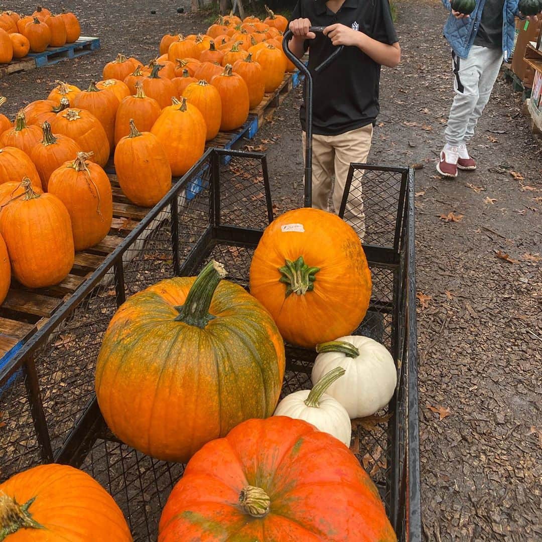 メリッサ・ジョーン・ハートさんのインスタグラム写真 - (メリッサ・ジョーン・ハートInstagram)「Made it to the pumpkin patch finally!! 🍁🎃🍂」10月29日 13時47分 - melissajoanhart