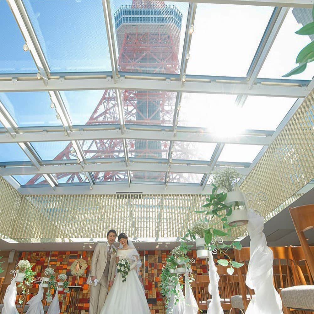 東京タワーの麓の結婚式のグルメインスタ